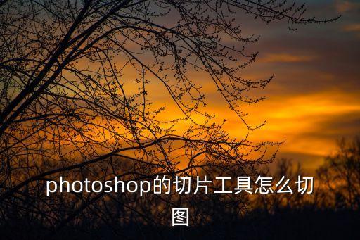 photoshop的切片工具怎么切圖
