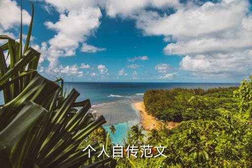 個人自傳范文