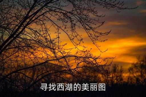 尋找西湖的美麗圖