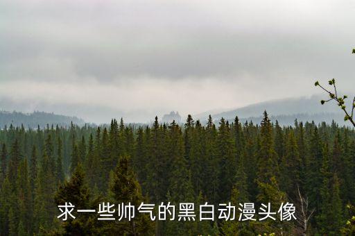 求一些帥氣的黑白動(dòng)漫頭像