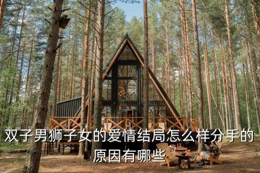 獅子女雙子男，雙子座男獅子座女