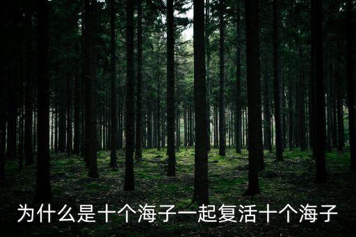 為什么是十個海子一起復活十個海子
