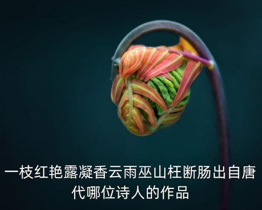 一枝紅艷露凝香云雨巫山枉斷腸出自唐代哪位詩人的作品
