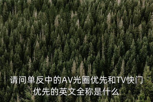 請(qǐng)問單反中的AV光圈優(yōu)先和TV快門優(yōu)先的英文全稱是什么