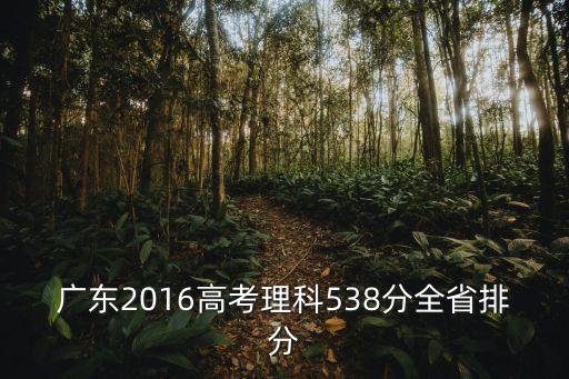東莞中學(xué)2016年高考成績(jī)，2016年廣東高考狀元是誰分?jǐn)?shù)是多少