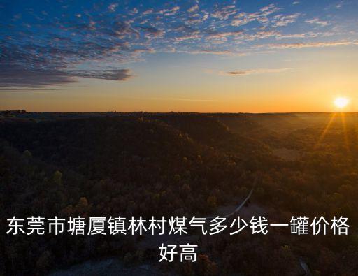 東莞市塘廈鎮(zhèn)林村煤氣多少錢一罐價格好高
