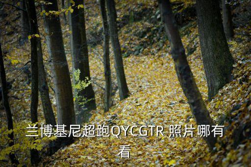 蘭博基尼超跑QYCGTR 照片哪有看