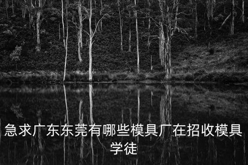 急求廣東東莞有哪些模具廠在招收模具學徒