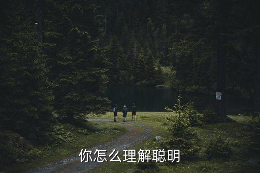 你怎么理解聰明