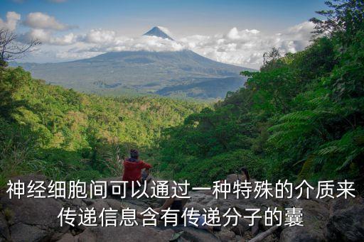 神經(jīng)細(xì)胞間可以通過一種特殊的介質(zhì)來傳遞信息含有傳遞分子的囊