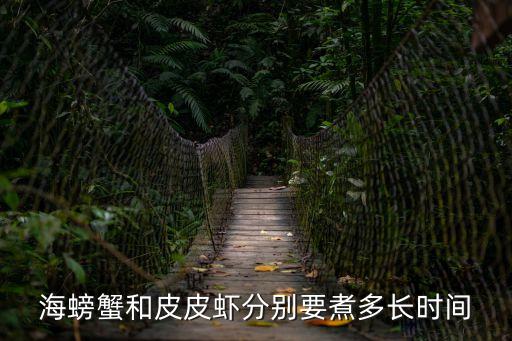 海螃蟹和皮皮蝦分別要煮多長(zhǎng)時(shí)間