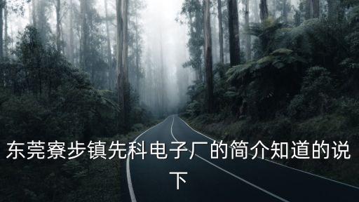 東莞寮步鎮先科電子廠的簡介知道的說下