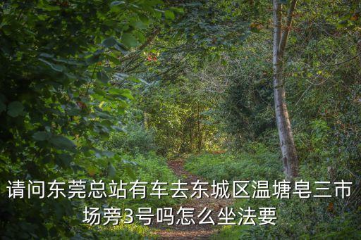請問東莞總站有車去東城區(qū)溫塘皂三市場旁3號(hào)嗎怎么坐法要