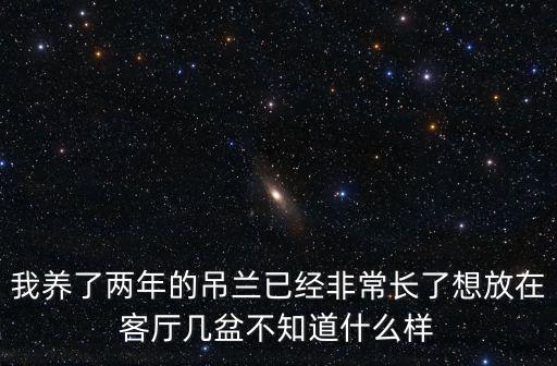 我養(yǎng)了兩年的吊蘭已經(jīng)非常長了想放在客廳幾盆不知道什么樣