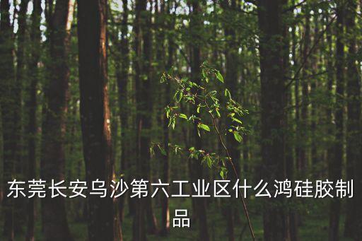 東莞長安烏沙第六工業區什么鴻硅膠制品