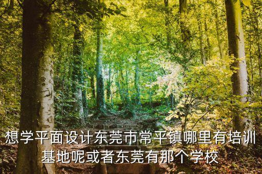 想學平面設計東莞市常平鎮哪里有培訓基地呢或者東莞有那個學校