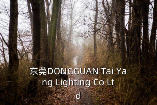 東莞DONGGUAN Tai Yang Lighting Co Ltd