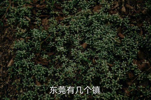 東莞有幾個鎮