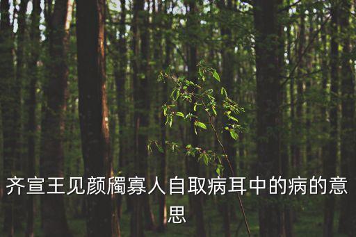 齊宣王見顏斶，齊宣王見顏斶 顏斶是個怎樣的人