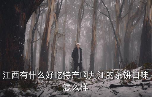 江西有什么好吃特產啊九江的茶餅口味怎么樣
