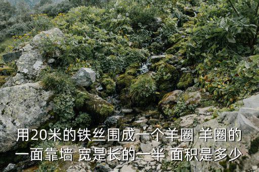 第六縱隊，一個縱隊有多少兵力