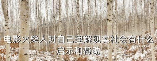 火柴人電影，求火柴人電影的百度云