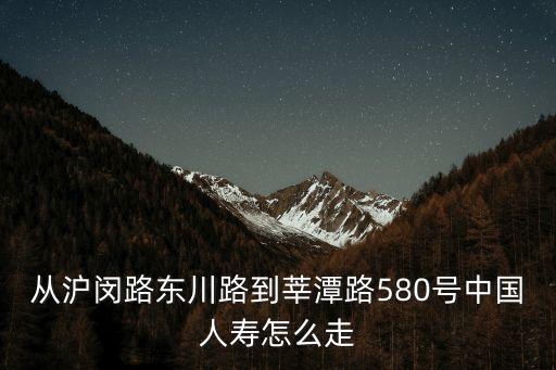 從滬閔路東川路到莘潭路580號中國人壽怎么走