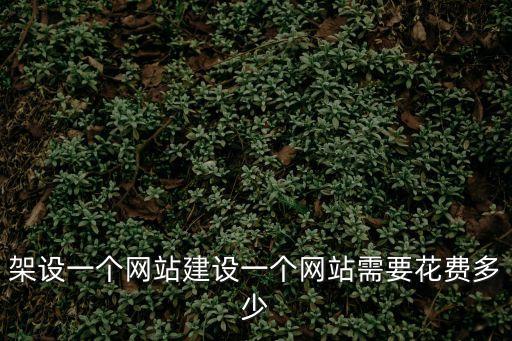 東莞市精維電氣科技有限公司，做網(wǎng)站基本費用大概需要多少