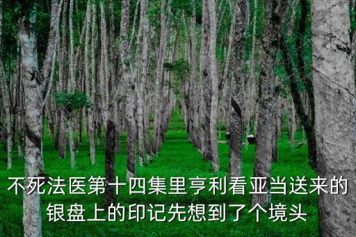 亨利亞當，不死法醫第十四集里亨利看亞當送來的銀盤上的印記先想到了個境頭