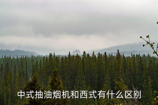 中式抽油煙機和西式有什么區別