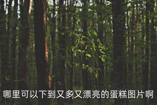 哪里可以下到又多又漂亮的蛋糕圖片啊