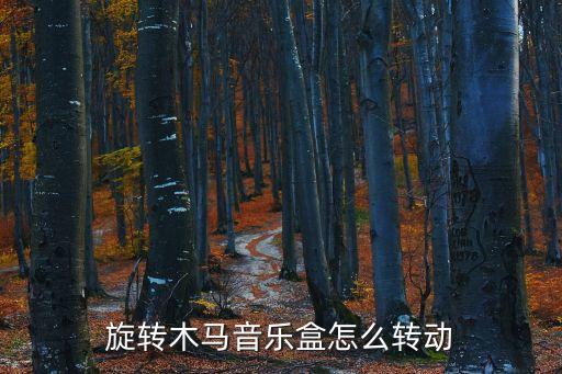 旋轉(zhuǎn)木馬音樂(lè)盒怎么轉(zhuǎn)動(dòng)