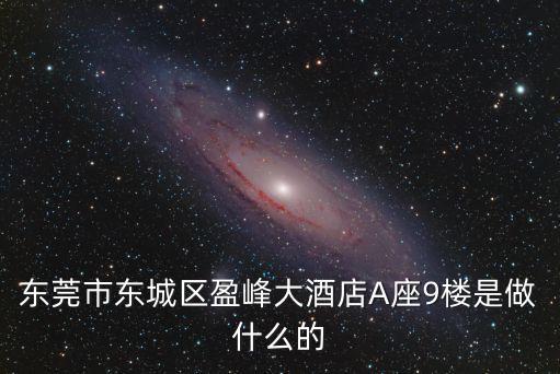 東莞市東城區盈峰大酒店A座9樓是做什么的