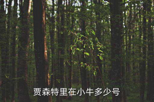 賈森特里，賈森特里在小牛多少號