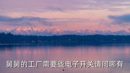 舅舅的工廠需要些電子開關請問哪有