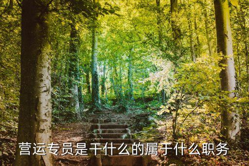 營運專員是干什么的屬于什么職務