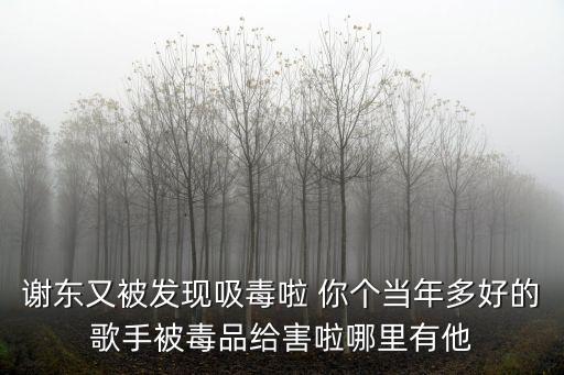 謝東吸毒，有哪些明星吸毒