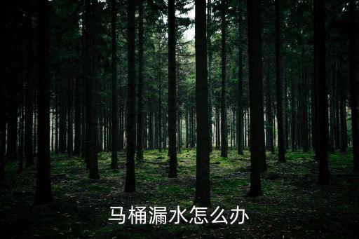 馬桶漏水怎么辦