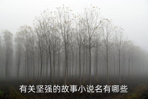 有關(guān)堅(jiān)強(qiáng)的故事小說名有哪些