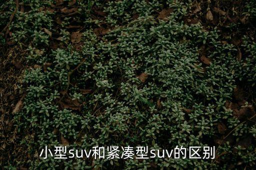小型suv和緊湊型suv的區別