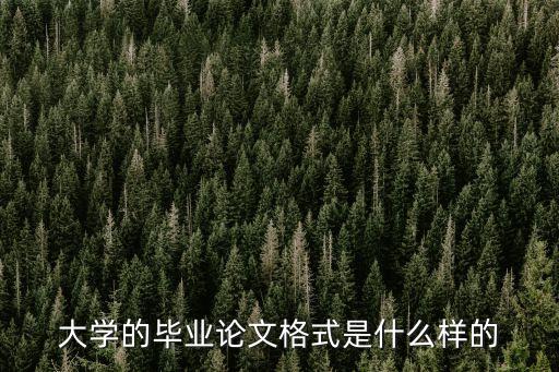 畢業(yè)設(shè)計論文模板，畢業(yè)論文的格式和范文