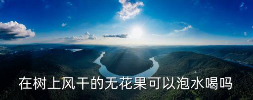在樹上風干的無花果可以泡水喝嗎