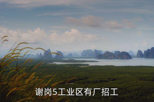 謝崗5工業(yè)區(qū)有廠招工