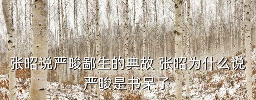 張昭說嚴(yán)畯鄙生的典故 張昭為什么說嚴(yán)畯是書呆子