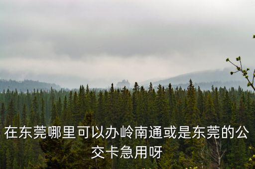 在東莞哪里可以辦嶺南通或是東莞的公交卡急用呀