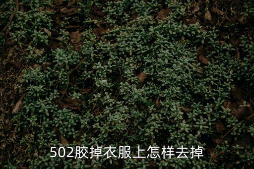 502膠水弄衣服上怎么去除，502膠掉衣服上怎樣去掉