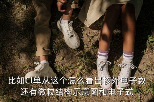 比如Cl單從這個怎么看出核外電子數還有微粒結構示意圖和電子式