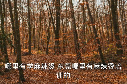 東莞香妃卷培訓，哪里有學麻辣燙 東莞哪里有麻辣燙培訓的