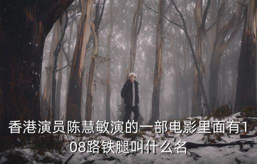 陳慧敏，陳惠敏叫什么名字