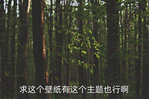 求這個壁紙有這個主題也行啊